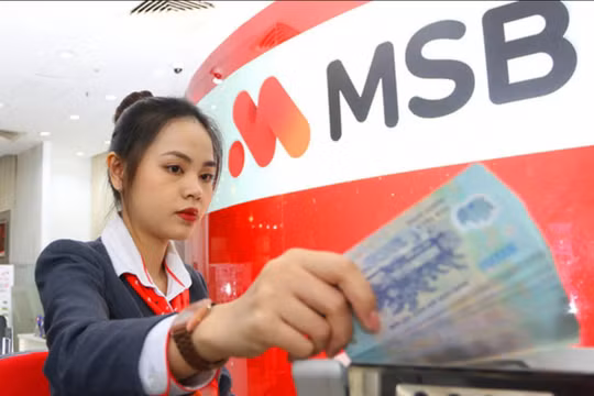 9 cổ đông nắm hơn 33% vốn MSB, hiện diện nhóm thuộc ROX Group 