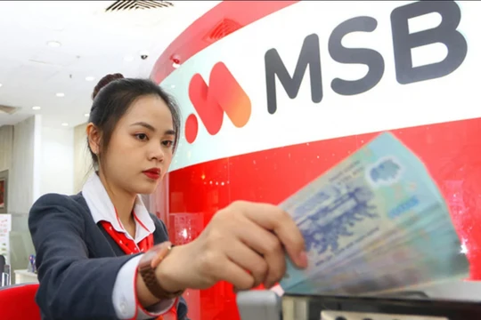 9 cổ đông nắm hơn 33% vốn MSB, hiện diện nhóm thuộc ROX Group 