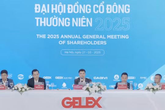 Đại hội cổ đông thường niên năm 2025 của Gelex. Ảnh: Hải Thu 