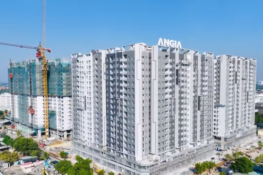 Bất động sản An Gia (AGG): Kết quả kinh doanh suy thoái, cấu trúc tài sản bất thường