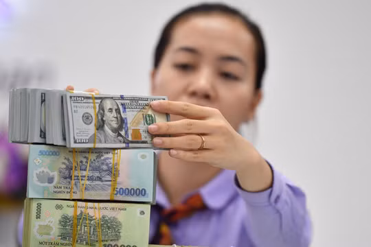 Ngân hàng Nhà nước bán can thiệp ngoại tệ kỳ hạn. Ảnh minh hoạ