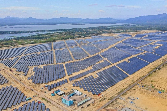 Dự án Nhà máy điện mặt trời Phù Mỹ tại tỉnh Gia Lai (Bình Định cũ) của Bamboo Capital. Ảnh: BCG 