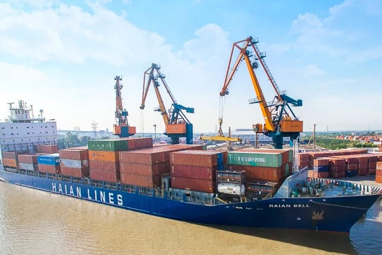 HAH phát hành 8,6 triệu cổ phiếu chuyển đổi trái phiếu 