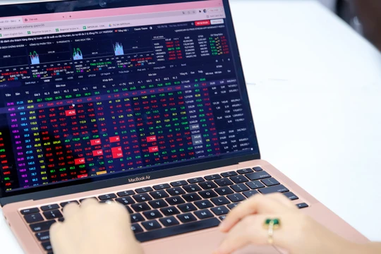 Cổ phiếu ORS bị TCBS cắt margin. Ảnh minh hoạ: BA