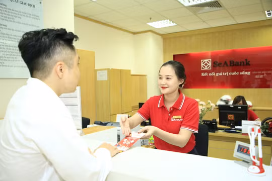 Việc đáp ứng các tiêu chuẩn khắt khe của Basel II cho thấy, SeABank có đủ khả năng phòng ngừa các rủi ro tín dụng, rủi ro thị trường, rủi ro hoạt động và các rủi ro có thể xảy ra trong quá trình hoạt động