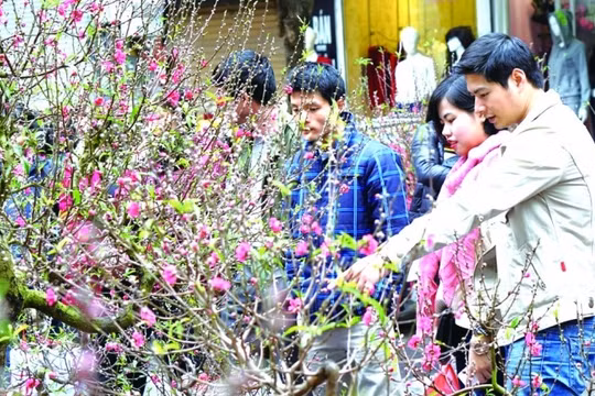 Tấp nập chợ hoa Tết tại phố Hàng Lược. Ảnh minh hoạ: TTXVN.