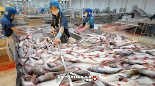 “Lo lắng khi Trung Quốc phá giá Nhân dân tệ là hơi thừa”