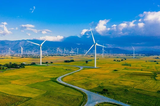 Chuyển đổi năng lượng công bằng hướng tới mục tiêu Net Zero năm 2050