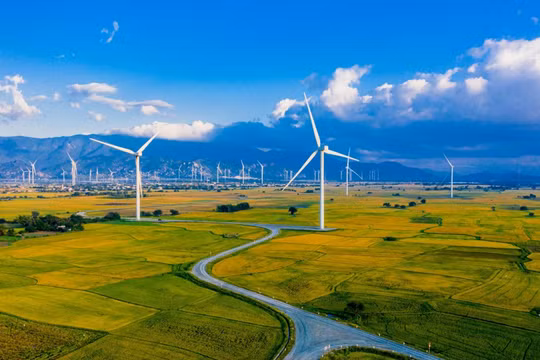 Chuyển đổi năng lượng công bằng hướng tới mục tiêu Net Zero năm 2050