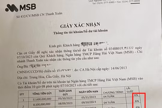 Vụ mất trăm tỷ ở ngân hàng MSB: Hé lộ mức trả lãi bất thường