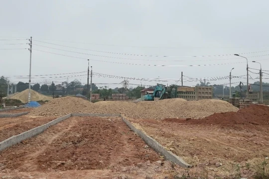 Giá đất nền vùng ven Hà Nội "nhảy múa", người dân đổ xô đi xem