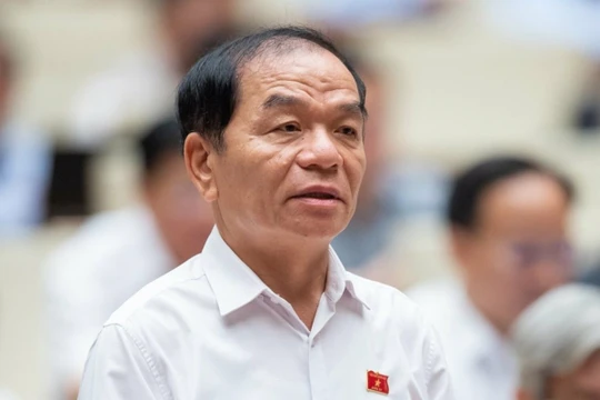 ĐB QH, Ủy viên thường trực Ủy ban Tài chính, Ngân sách của QH Lê Thanh Vân