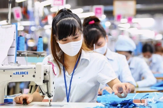 Thêm lựa chọn để người lao động được hưởng lương hưu cao hơn