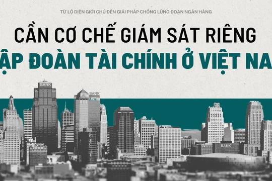 Cần cơ chế giám sát riêng tập đoàn tài chính ở Việt Nam