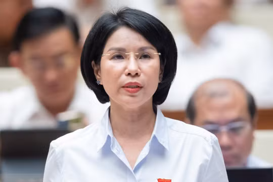 Bà Trần Thị Nhị Hà giữ chức Phó trưởng Ban Dân nguyện