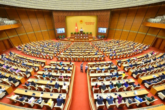 5 tiêu chuẩn chung của nhân sự đảm nhiệm chức danh Chủ tịch nước