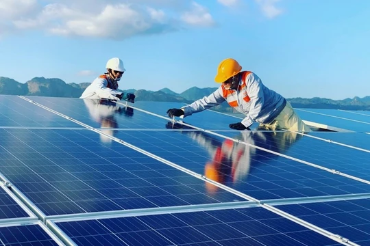 Đầu tư tỷ USD vào điện mặt trời, lợi nhuận Xuân Thiện Group liên tục sụt giảm