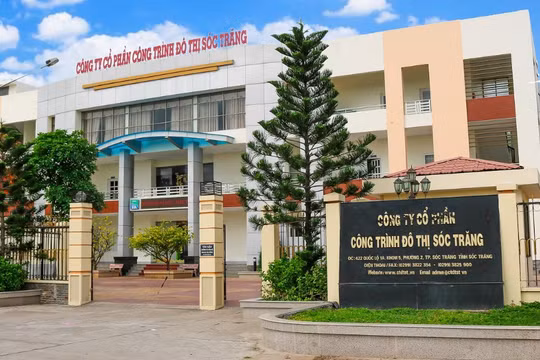 Công ty Cây xanh Công Minh tiềm lực cỡ nào?