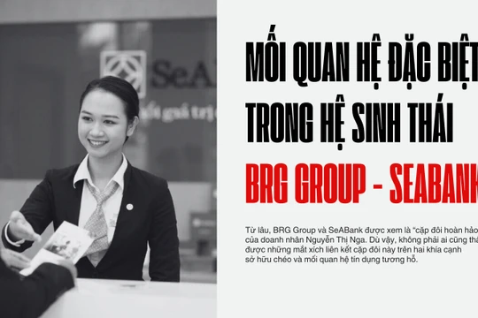 Mối quan hệ “đặc biệt” trong hệ sinh thái BRG Group và SeABank