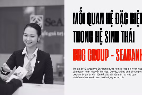 Mối quan hệ “đặc biệt” trong hệ sinh thái BRG Group và SeABank