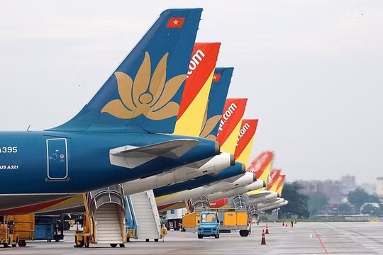 Cục Hàng không kiểm tra việc kê khai, niêm yết giá vé máy bay