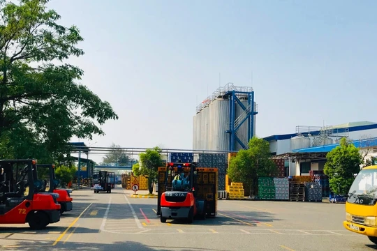 Nhà máy Bia Heineken Quảng Nam tạm dừng hoạt động. Ảnh: Q.T