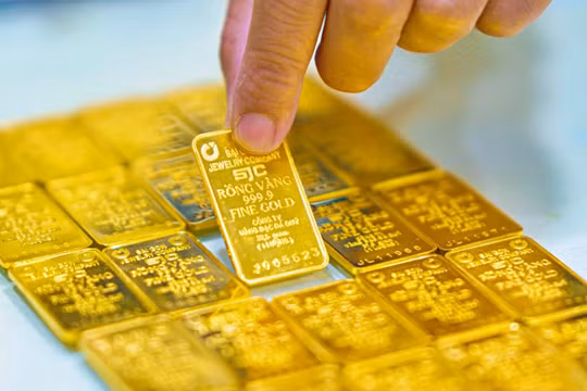 TS. Lê Xuân Nghĩa: Đang có cơn sốt vàng giả tạo