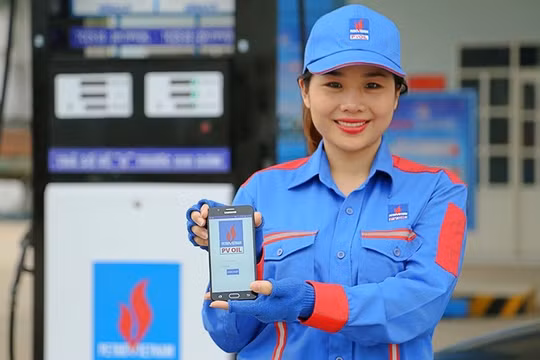 PVOIL bị tin tặc tấn công, hệ thống tê liệt giống VNDirect