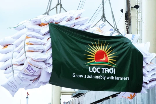 Kết quả kinh doanh quý I/2024 và năm 2023 của Lộc Trời không mấy khả quan.