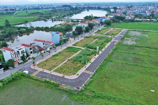 Hậu phiên đấu giá đất gây sốt ở Thanh Oai: Nhà đầu tư bán cắt lỗ 100 triệu đồng, hạ giá chênh