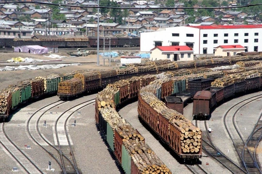 Việc cho phép người Trung Quốc sang chặt phá rừng và xuất khẩu số lượng lớn gỗ sang Trung Quốc đã gây nên bất đồng trong chính phủ Nga