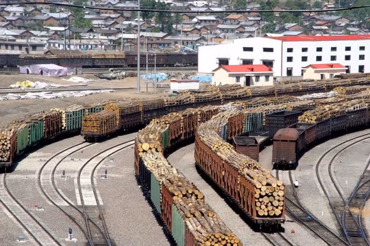 Việc cho phép người Trung Quốc sang chặt phá rừng và xuất khẩu số lượng lớn gỗ sang Trung Quốc đã gây nên bất đồng trong chính phủ Nga