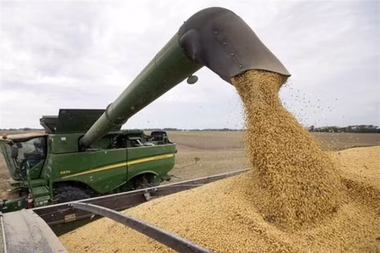 Trung Quốc đã đồng ý mua 50 tỷ USD nông sản Mỹ, hứa mua thêm 200 tỷ USD hàng hóa Mỹ trong 2 năm để đối lại Mỹ không tăng thuế vào ngày 15/12.