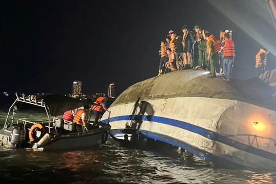 Tạm dừng cấp phép tàu du lịch tại vịnh Hạ Long