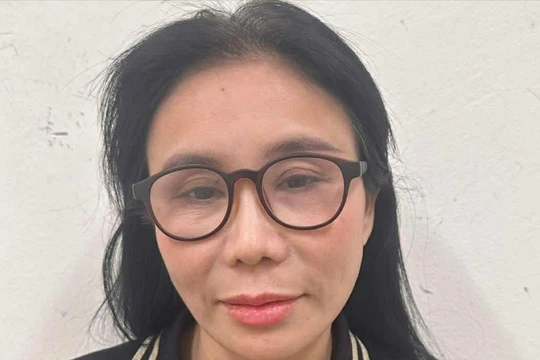 Vì sao vợ chồng chủ chuỗi thẩm mỹ viện Mailisa Phan Thị Mai bị bắt?