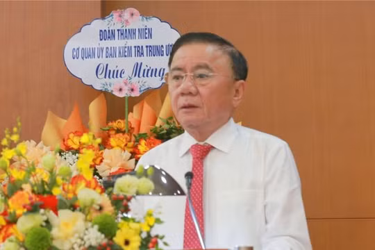 UBKT Trung ương kỷ luật hàng trăm tổ chức, đảng viên vi phạm trong nhiệm kỳ