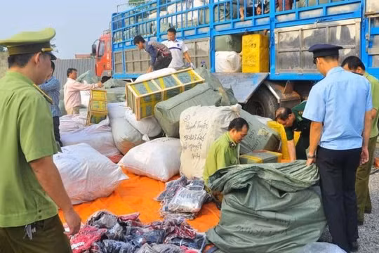 Thủ tướng chỉ đạo xử lý nghiêm cán bộ bảo kê, tiếp tay cho hàng giả, buôn lậu