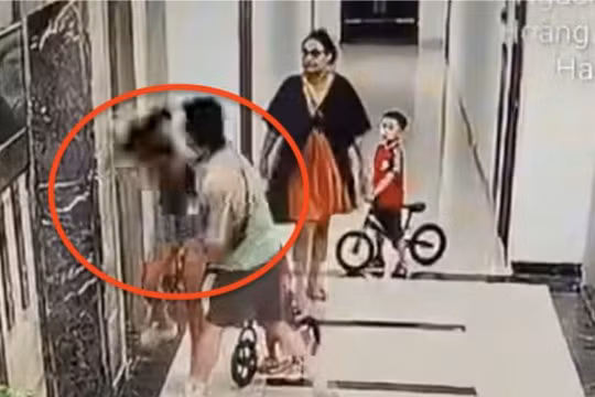 Khi bạo lực thành “phản xạ” giải quyết mâu thuẫn