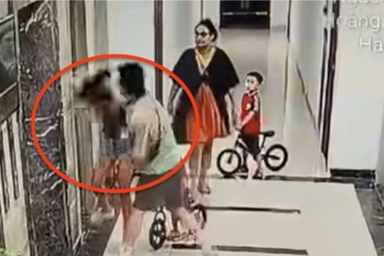 Khi bạo lực thành “phản xạ” giải quyết mâu thuẫn