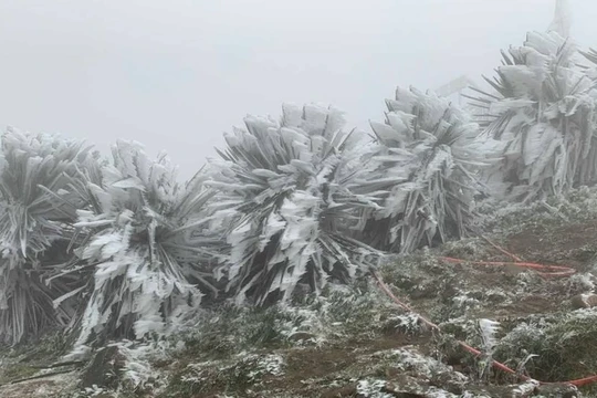 Miền Bắc rét tăng cường, có nơi 10 độ C, miền Trung mưa lớn