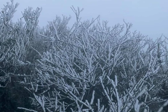 Miền Bắc rét đậm, vùng núi cao có nơi chỉ hơn 3 độ C