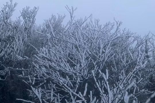 Miền Bắc rét đậm, vùng núi cao có nơi chỉ hơn 3 độ C