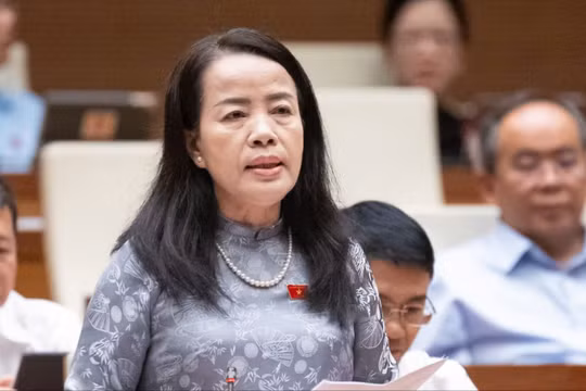 ĐBQH: Bỏ quyền chất vấn của đại biểu HĐND với chánh án, viện trưởng, dân bị oan sai sẽ nhờ cậy ai?