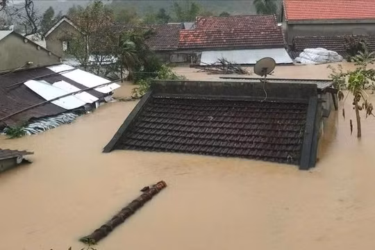 Vì sao nhiều sông ở Đắk Lắk, Khánh Hòa vượt lũ lịch sử?