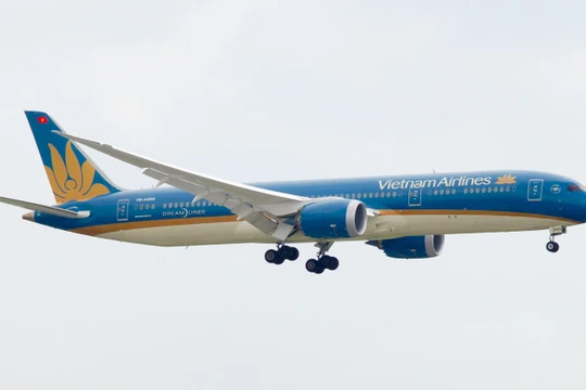 Airbus A320 bị lỗi, 81 máy bay của Việt Nam phải kiểm tra khẩn cấp