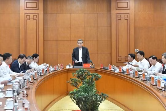 Đưa 4 vụ án, vụ việc có dấu hiệu lãng phí vào diện Ban Chỉ đạo Trung ương theo dõi