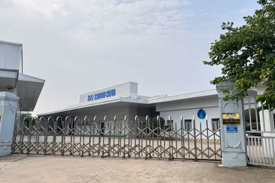 Cận cảnh nơi sản xuất sữa Nutri Brain IQ quảng cáo “chữa được bệnh tự kỷ”