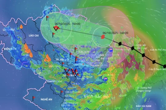 Bão Matmo đổ bộ vào Trung Quốc, suy yếu thành áp thấp nhiệt đới
