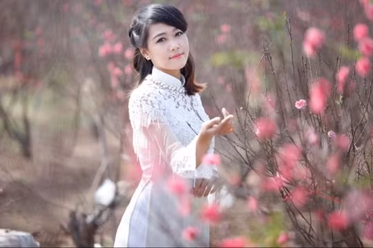 Dự báo thời tiết 3 miền Tết Ất Tỵ 2025