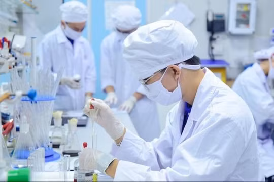 Kiến trúc sư trưởng cấp tỉnh được hưởng nhiều chính sách hỗ trợ tương đương phó chủ tịch UBND tỉnh